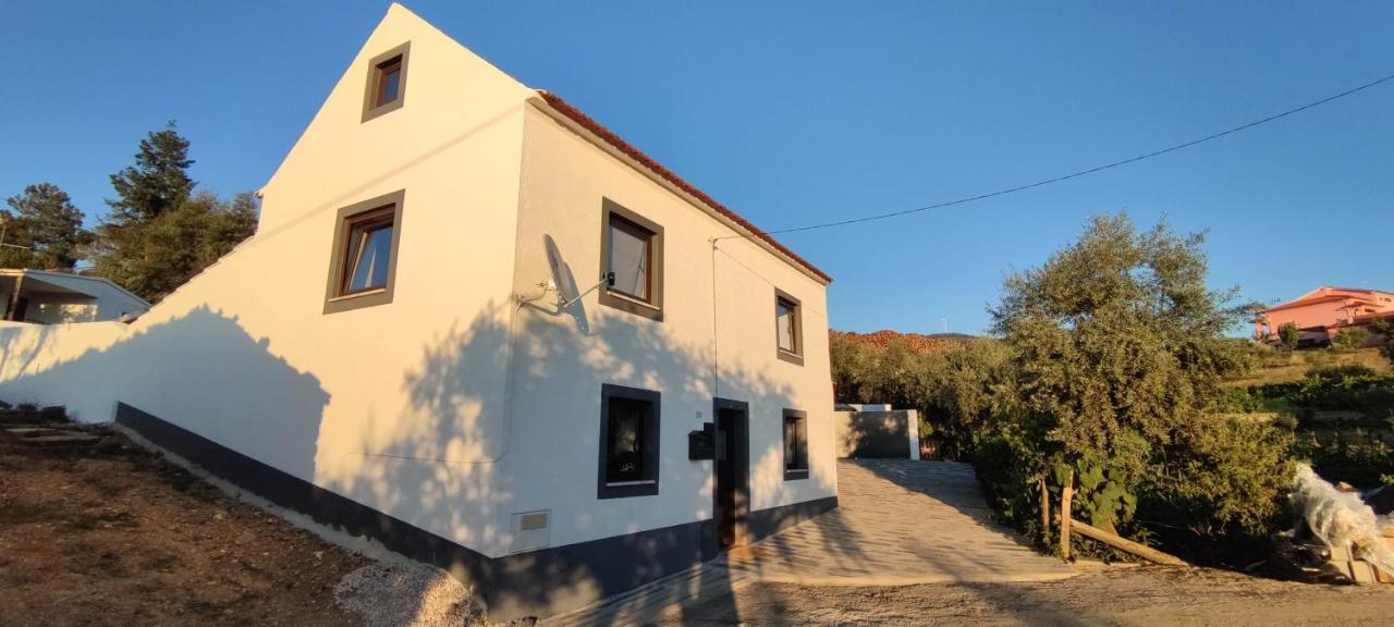 Pomar Das Oliveiras - Private Swimming Pool - Free Ev Chrg - Pet Friendly Carvalhal  Екстериор снимка