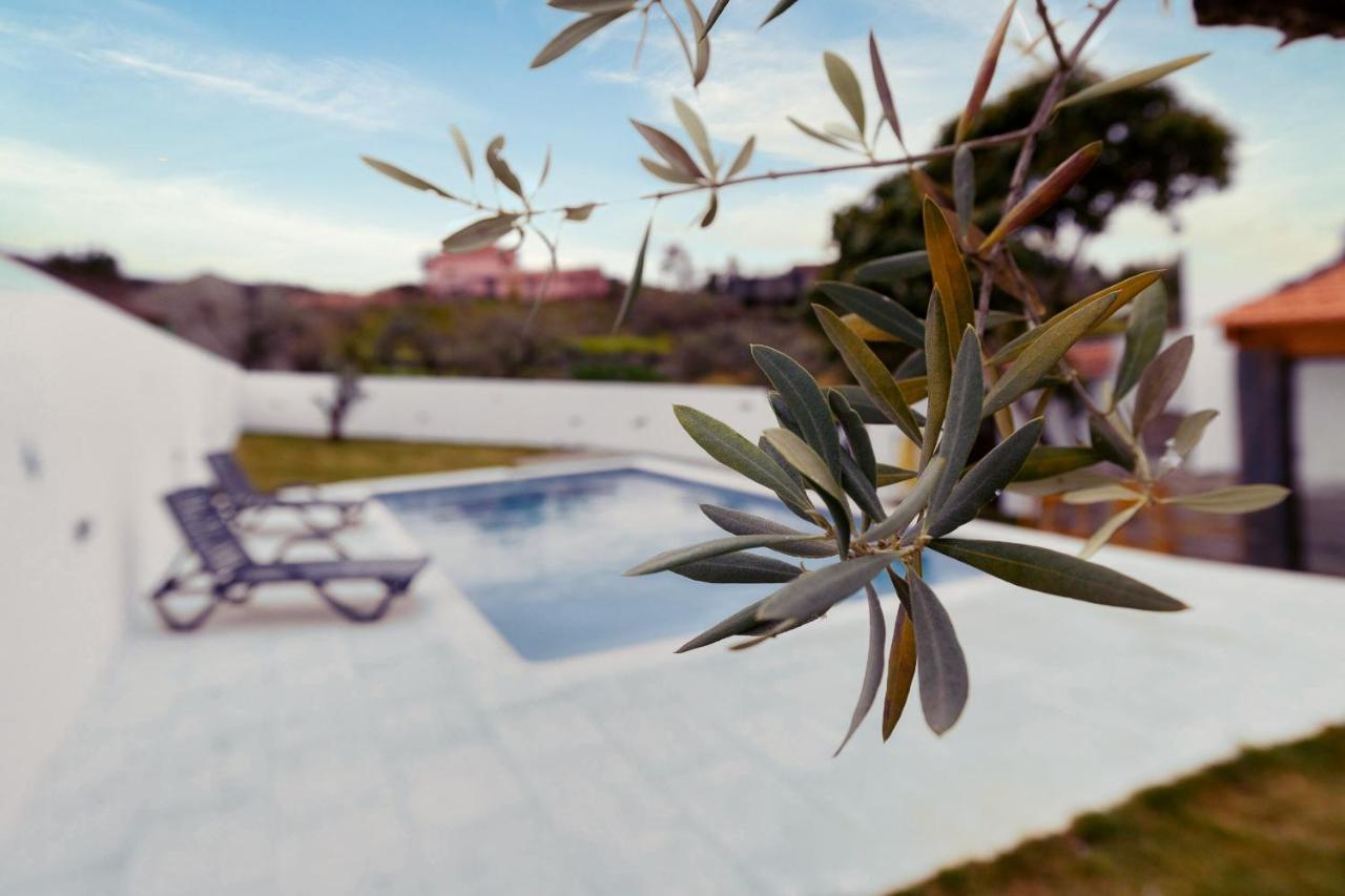 Pomar Das Oliveiras - Private Swimming Pool - Free Ev Chrg - Pet Friendly Carvalhal  Екстериор снимка